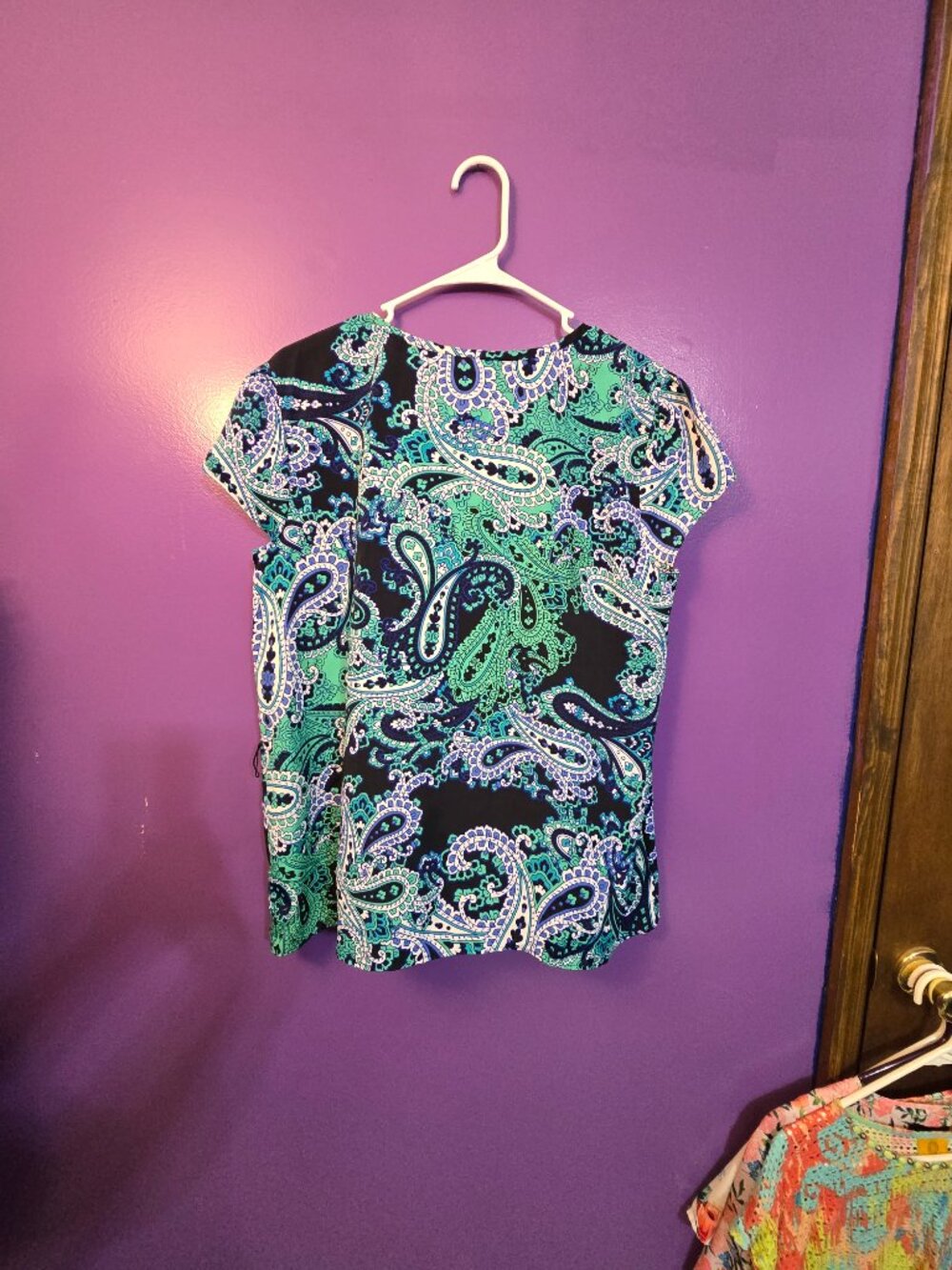 Tommy Hilfiger Paisley Pintuck Pleated Cap Sleeve Blouse Green Blue image 3